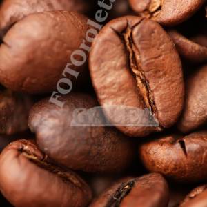 K021_original_copy_2