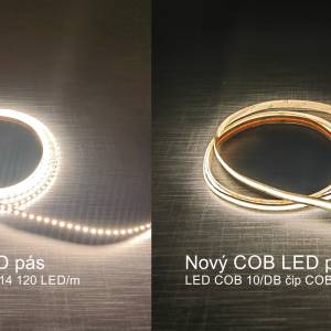 Pasik_COB_2_original